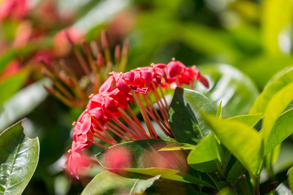 Courtyard By Marriott Waikiki Beach Honolulu Zewnętrze zdjęcie