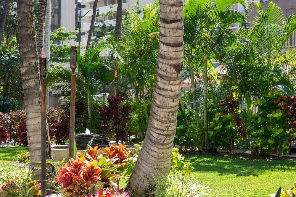 Courtyard By Marriott Waikiki Beach Honolulu Zewnętrze zdjęcie